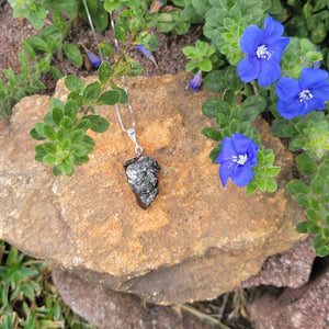 Elite Noble Raw Shungite Pendant on a sterling silver chain with 99% carbon for maximum EMF protection 